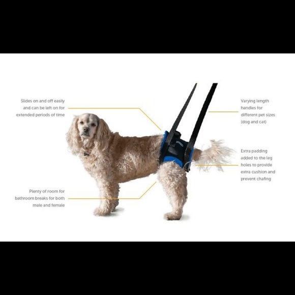 WALKABOUT Original Back End Harness, Black - Picture 2 of 5